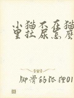 小猫不在猫砂盆里拉尿怎么办封面