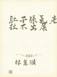 肚子胀气老放屁拉不出屎