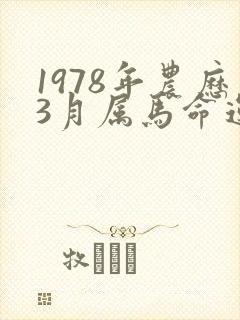 1978年农历3月属马命运