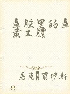 鼻腔里的鼻涕又黄又脓