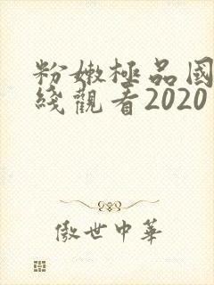 粉嫩极品国产在线观看2020