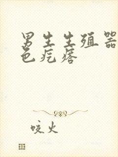 男生生殖器长白色疙瘩