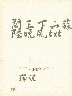 阎王下山苏文,陆晚风txt