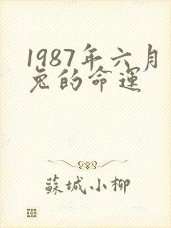 1987年六月兔的命运