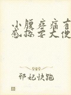 小腹疼痛有下坠感总要大便的感觉怎么办