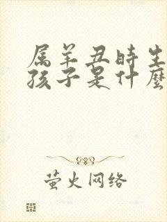 属羊丑时生的男孩子是什么命