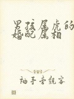 男孩属虎的最佳婚配属相