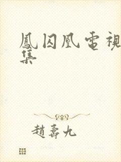 凤囚凰电视剧全集封面