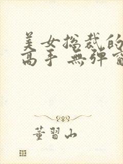 美女总裁的贴身高手 无弹窗