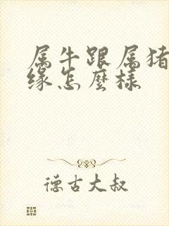 属牛跟属猪的姻缘怎么样