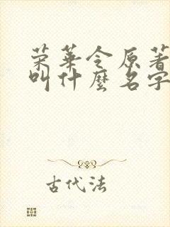 荣华令原著小说叫什么名字啊封面