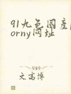 91九色国产porny网址