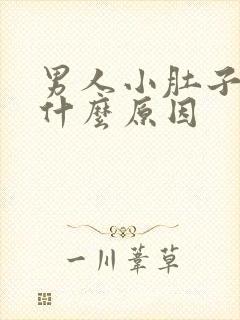 男人小肚子疼是什么原因封面