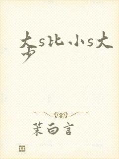 大s比小s大多少