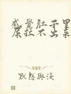 感觉肚子里很多屎拉不出来怎么办