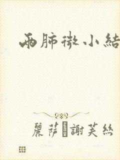 两肺微小结节影