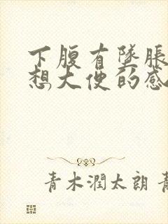 下腹有坠胀感总想大便的感觉