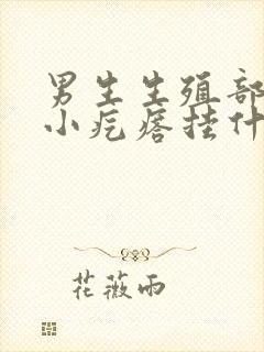 男生生殖部位长小疙瘩挂什么科