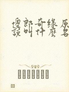 傻郎奇缘原著小说叫什么名字