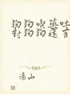 狗狗吃药吐了药对狗狗还有效吗