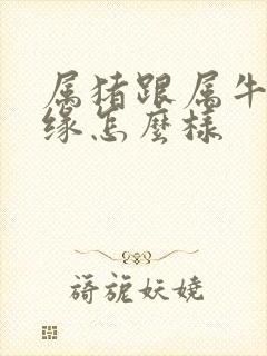 属猪跟属牛的姻缘怎么样