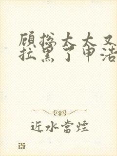 顾总太太又把你拉黑了申浩男短剧