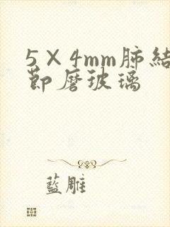 5×4mm肺结节磨玻璃封面