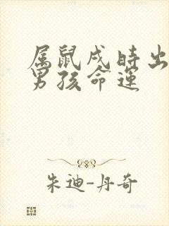 属鼠戌时出生的男孩命运