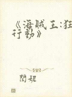《海贼王:狂热行动》