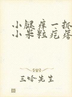 小腿痒一抓就起小米粒疙瘩