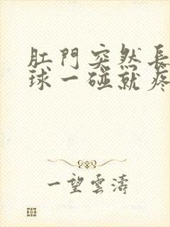 肛门突然长个肉球一碰就疼