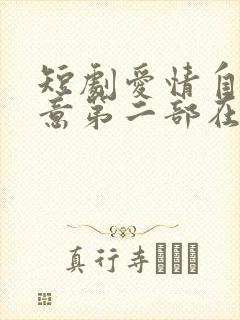 短剧爱情自有天意第二部在线观看封面