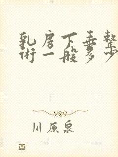 乳房下垂整形手术一般多少钱