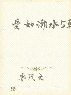 爱如潮水5韩国