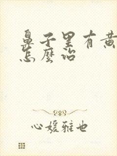 鼻子里有黄鼻涕怎么治