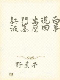 肛门出现白色粘液怎么回事封面