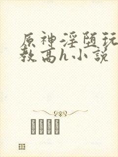 原神淫堕玩弄调教高h小说封面