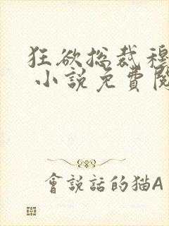 狂欲总裁穆非雪 小说免费阅读