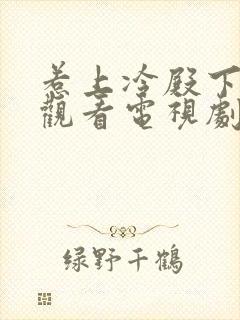 惹上冷殿下免费观看电视剧封面