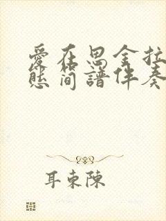 爱在思金拉措动态简谱伴奏