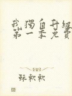 我独自升级动漫第一季免费观看