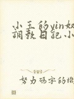 小玉的yin奴调教日记小说