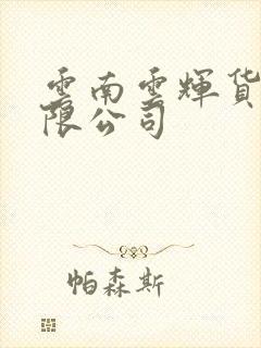 云南云辉货运有限公司