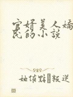 官婿美人娇王建民的小说