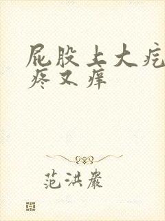 屁股上大疙瘩又疼又痒封面