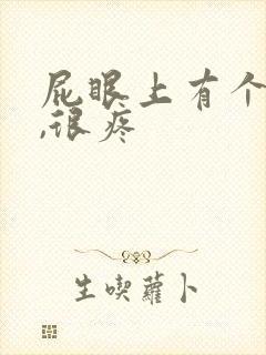 屁眼上有个疙瘩,很疼