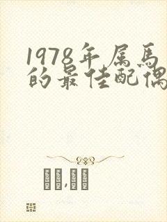 1978年属马的最佳配偶属相