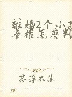 离婚2个小孩抚养权怎么判定