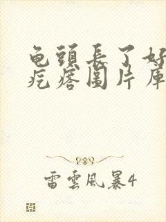 龟头长了好多小疙瘩图片库