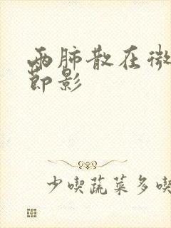 两肺散在微小结节影封面